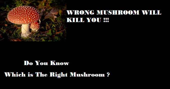 Mushrooms poisonous