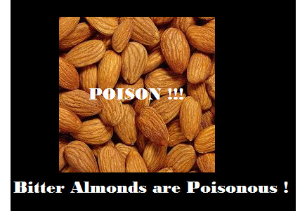 Poisonous almonds