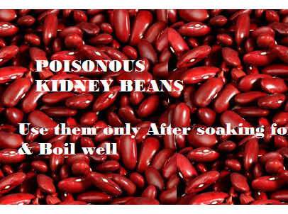 Poisonous kidney beans