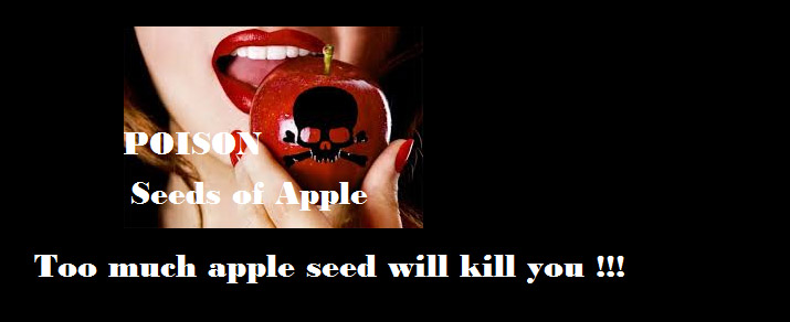 apple seed poisonous