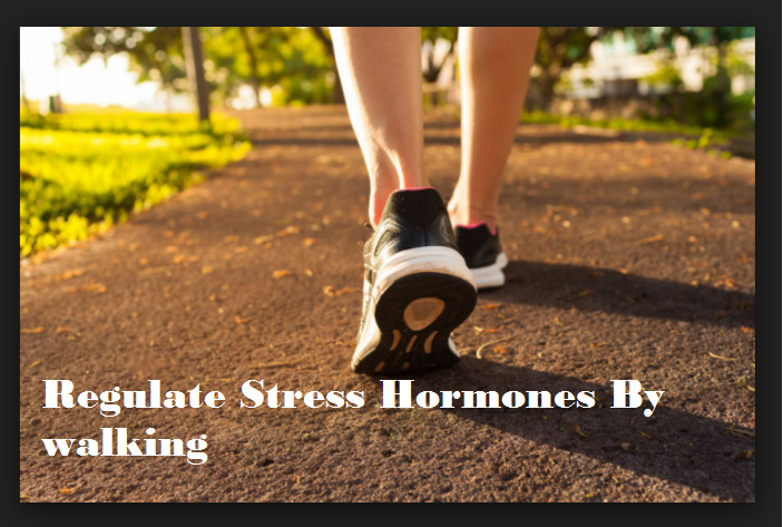 regulate-stress-hormones-by-walking
