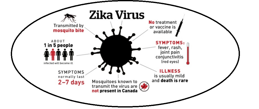 how-zika-virus-spread